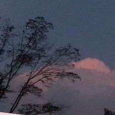 qnotes3's profile picture. Hope u r doin well