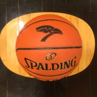 Oriole Basketball (@oriolebball) 's Twitter Profile Photo Oriole Basketball (@oriolebball) 's Twitter Profile Photo
