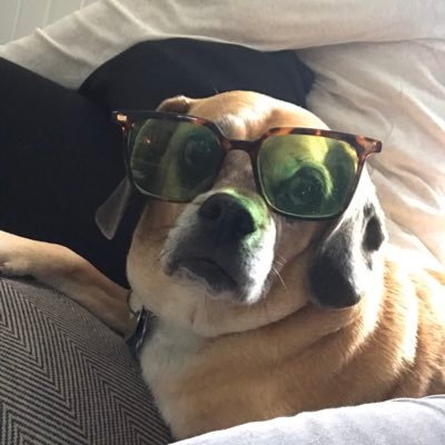 wampo1738's profile picture. 