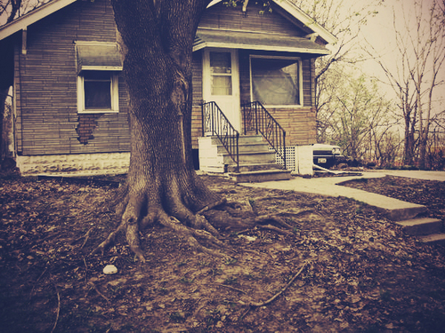 parkavewindow's profile picture. I'm looking for a place