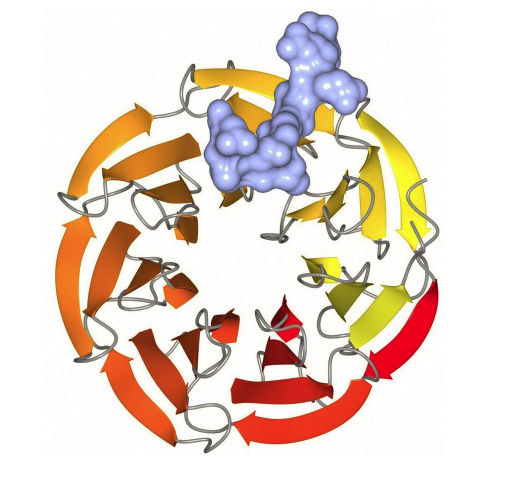 TanseyTweets's profile picture. Twitter page for Bill Tansey's Laboratory @VanderbiltU. Investigating transcriptional regulation by MYC in cancer.