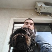 Alexandru Bitca (@alexandrubitca) 's Twitter Profile