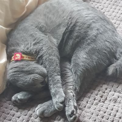 자담さんのプロフィール画像