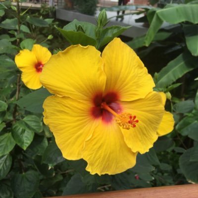 erin1092837465's profile picture. snap / egraham546