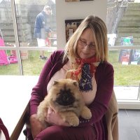 karen salter (@karensalter13) 's Twitter Profile