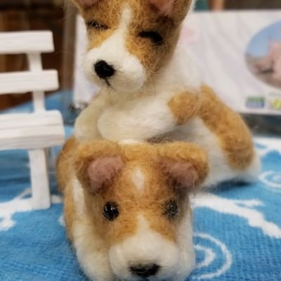 jLFGOFcNOyjdUUT's profile picture. 💛アイラブコーギー💛2012年8月4日生まれの女の子🐶✨
無言フォロー失礼します🙇‍♀️