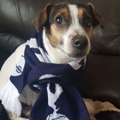 Susconroy02's profile picture. 