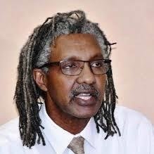 Spokesperson of Sudanese Professionals Association (SPA)
متحدث رسمي بإسم تجمع المهنيين السودانيين