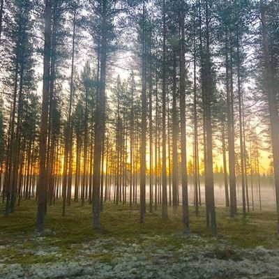 Suomi201888's profile picture. I watch this world with my own eye.