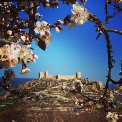 Mpr239's profile picture. 