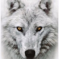 Robin (@robinbernardh) 's Twitter Profile