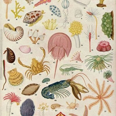 biogloos's profile picture. Biology account