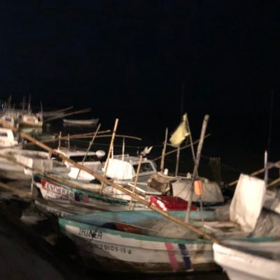 BeaEnriquez4's profile picture. 