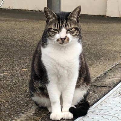 hinataka57's profile picture. 中3♂のかーちゃん。夫氏と３人ぐらし。勉強のことや色んなこと呟いています。 2026年も社労士受験生予定。Notion沼の住人。Notion×勉強、Notion構築「教えて・作って」DM下さい！/「転んでもただじゃ起きない」 /河村勇輝、Da-iCE、TM NETWORK推し