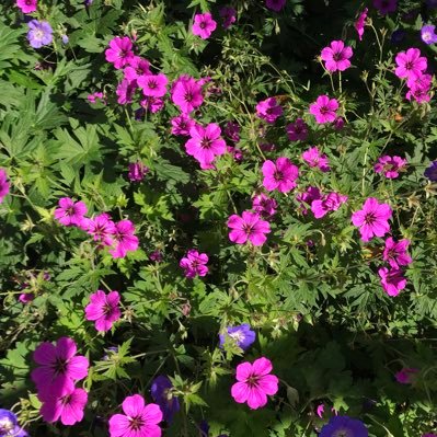 Fic152's profile picture. Other side of the coin. PEACE, PLEASE, NOW!