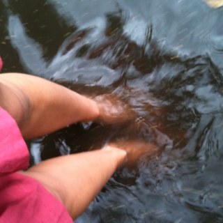 zanezhanna's profile picture. 