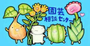 engeisoudan's profile picture. 園芸相談専門サイト「園芸相談センター」公式アカウント。掲示板に投稿された質問のタイトルが半自動的に投稿されます(更新情報とかも流れます)。