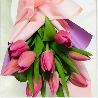 Sfm04676299's profile picture. Great things never came from comfort zones 😇😊😀