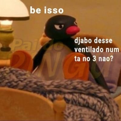 vazapelopito's profile picture. 