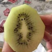 Mi última septicemia⭐⭐⭐ (@drsepsis) 's Twitter Profile Photo