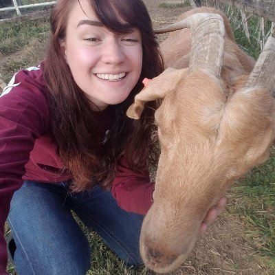 H0ldmyBeard's profile picture. All I wanna do is drink wine 🍷, save animals 🐾, and take naps 😴.