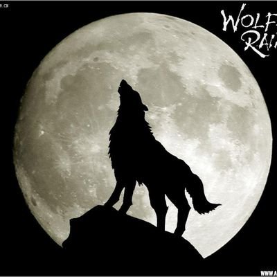 hide89764278's profile picture. 