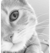 saythesky's profile picture. The pace of my life within the pace in every of my words.