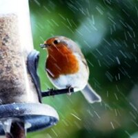 LERN (@lancsbioblitz) 's Twitter Profile