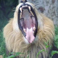Paul Sumner (@drpaulws) 's Twitter Profile
