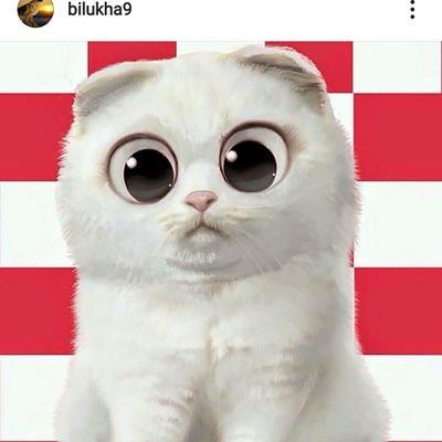 sutasuta01's profile picture. 懸賞 お得活動 美活 温活に興味があり
はじめました。
初心者です🌸 よろしくお願いします🤣🌠