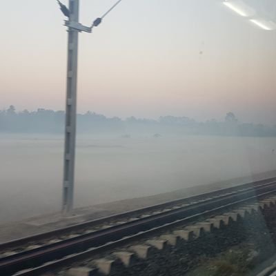 hakase56557's profile picture. Cover @mocha708