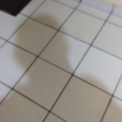 SirAlbertRicard's profile picture. Trustworthy, Straight forward n Easy Going ^^