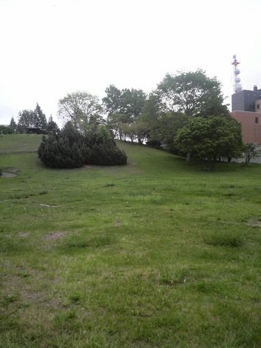 noriokitamura's profile picture. ベーシストです。