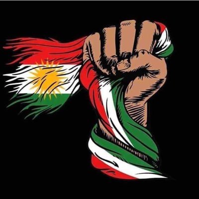 A Kurdish activist in the crazy online world! Tweets about Kurdish related issue across the Middle East #Rojhelat #Rojava #Bashur #Bakûr #JinJîyanAzadî