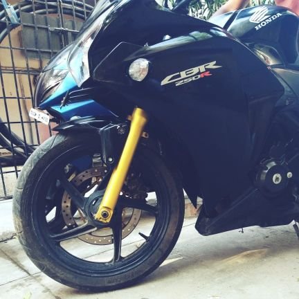 SleepEatRideFox's profile picture. 