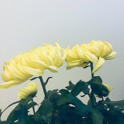 cloudbe85929815's profile picture. 