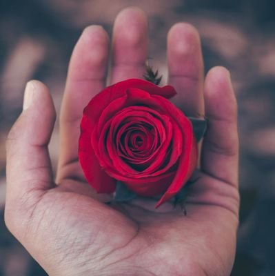 Drtik2's profile picture. 