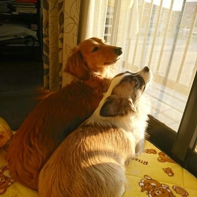 6JazjZhfDuZTskR's profile picture. 