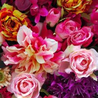 ちょろぎ (@chorogi2019) 's Twitter Profile