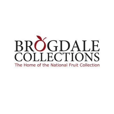 VisitBrogdale Profile Picture