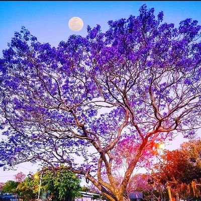 Let's connect each other .
& Welcome to every religion people.
💯 IFB.
View on all.
Abusers = direct block.