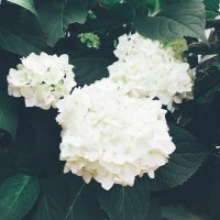 撚子 (@oe3tdycmkx2dbn1) 's Twitter Profile
