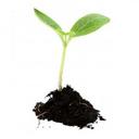 Dean Steele - @Business4ge - Twitter