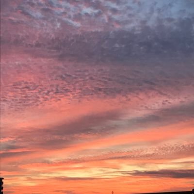 TENKUU77's profile picture. 空がすき