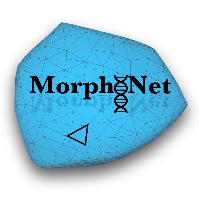 @MorphoTweet