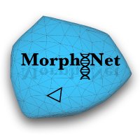 MorphoNet (@morphotweet) 's Twitter Profile Photo MorphoNet (@morphotweet) 's Twitter Profile Photo