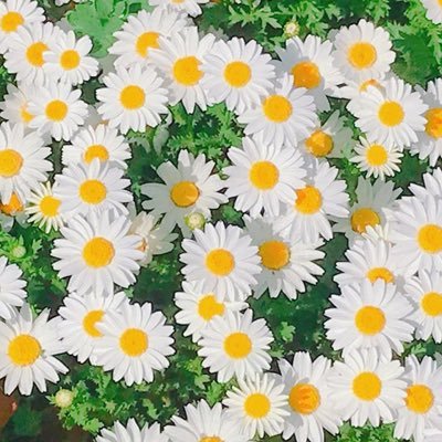 uknowhiroko's profile picture. 