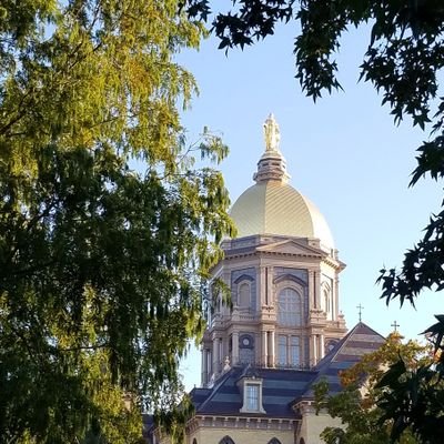 nd1n93's profile picture. Subway alumni from the deep south, so very surrounded and outnumbered. Independence Forever. We got to stop with the blue font on green jersey thing.