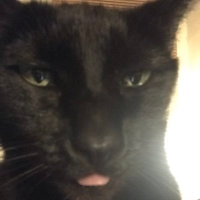 SandraBellini14's profile picture. “ We are not drunks. We are multimillionaires. “