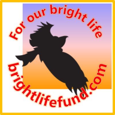 fund_bright's profile picture. 「金持ちになりたい🤑」の一心で #資産運用 を始めて約10年。ようやくゴール🎊がチラチラ見えたような気がする、という今日この頃。モヤモヤと考えたお金持ちになる方法論🧗‍♀️や実践結果📈についてブログに記事を載せています。自慢は『リーマンショック🧟‍♂️をまたいで投資を続けられている』こと。